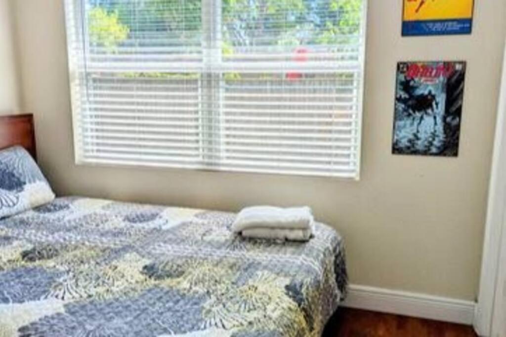Spacious House With Big Backyard In N. Hyde Park / Close To Downtown Tampa Exteriér fotografie