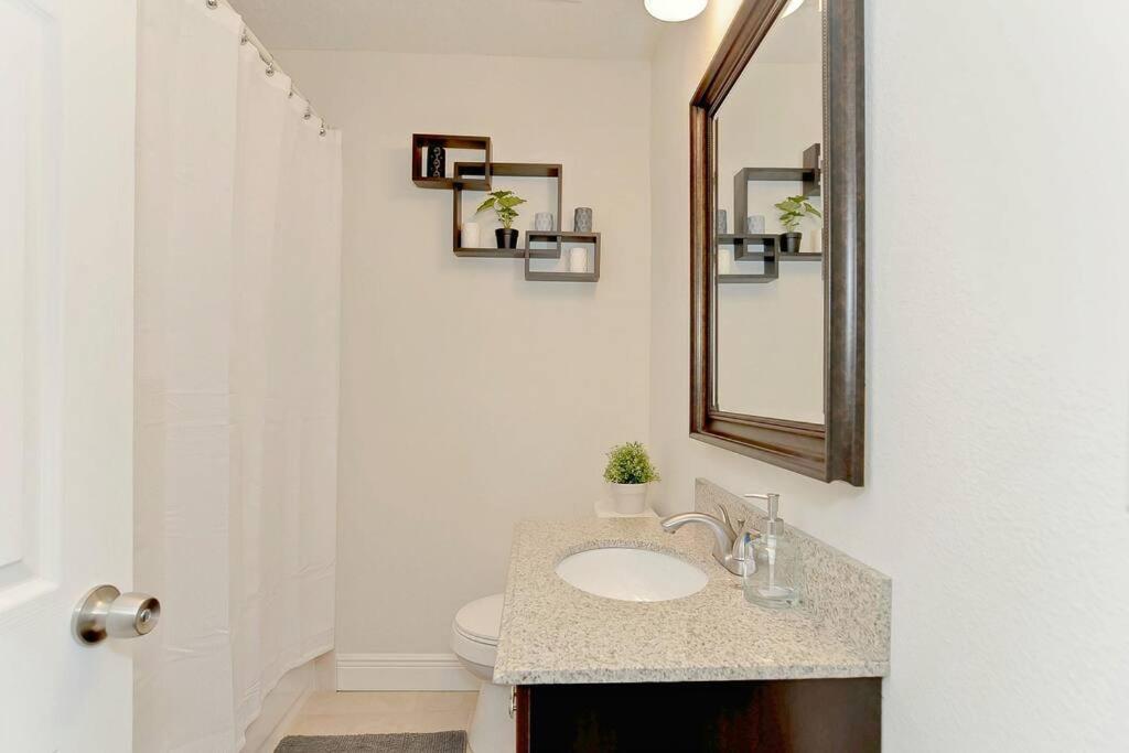 Spacious House With Big Backyard In N. Hyde Park / Close To Downtown Tampa Exteriér fotografie